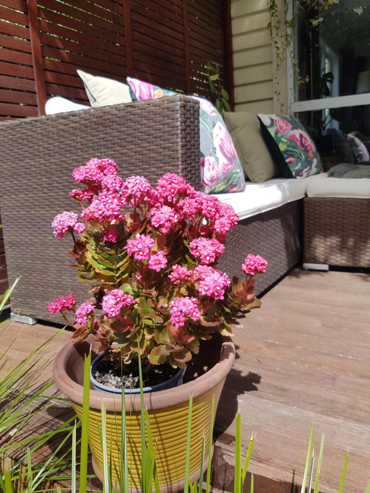 Rainbow Gate Cottage Napier Εξωτερικό φωτογραφία